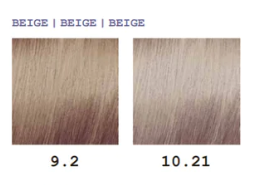 TONALIGHT DEMI-PERMANENT 100ML Nº-10/21
