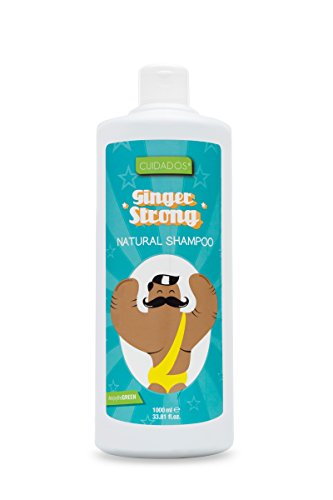 Cuidados Champú Jengibre Ginger Strong, Estimulante capilar. Anticaspa. Antioxidante. Con Panthenol. Todo tipo de cabello - 1 litro