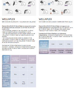 TP-WELLAPLEX Nº2 BOND STABILIZER - Hair shop