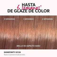 Coloración semipermanente Shinefinity Zero Lift Glaze - Cool Frosted Chestnut 06/71, 60ml