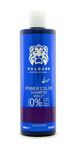 Valquer Profesional Champú Power Color cabellos teñidos. Vegano Y Sin Sulfatos (Violeta). Potenciador color cabello - 400 ml.