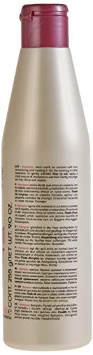 Salerm Cosmetics Hi Repair Champú - 250 ml