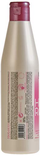 Salerm Cosmetics Hi Repair Champú - 250 ml