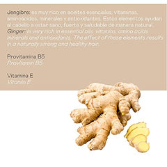 Cuidados Champú Jengibre Ginger Strong, Estimulante capilar. Anticaspa. Antioxidante. Con Panthenol. Todo tipo de cabello - 1 litro