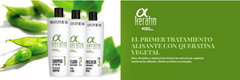 Alpha Keratin Champu 250 ml. (Mantenimiento)